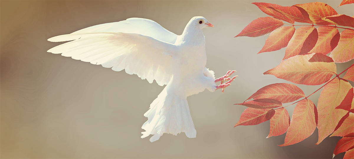 Children of God